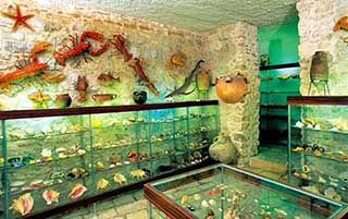 Malakologinen museo Makarska